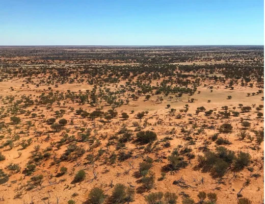 Uluru Desert Wildlife Park - See native wildlife and learn about desert ecosystems