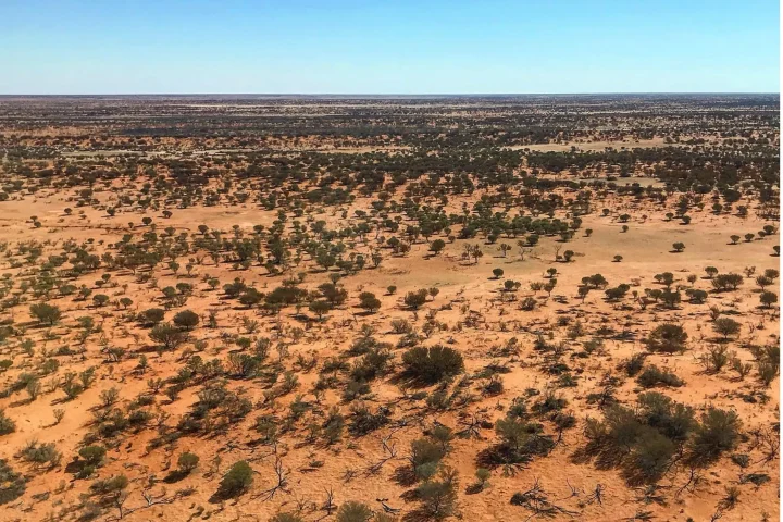 Uluru Desert Wildlife Park - See native wildlife and learn about desert ecosystems