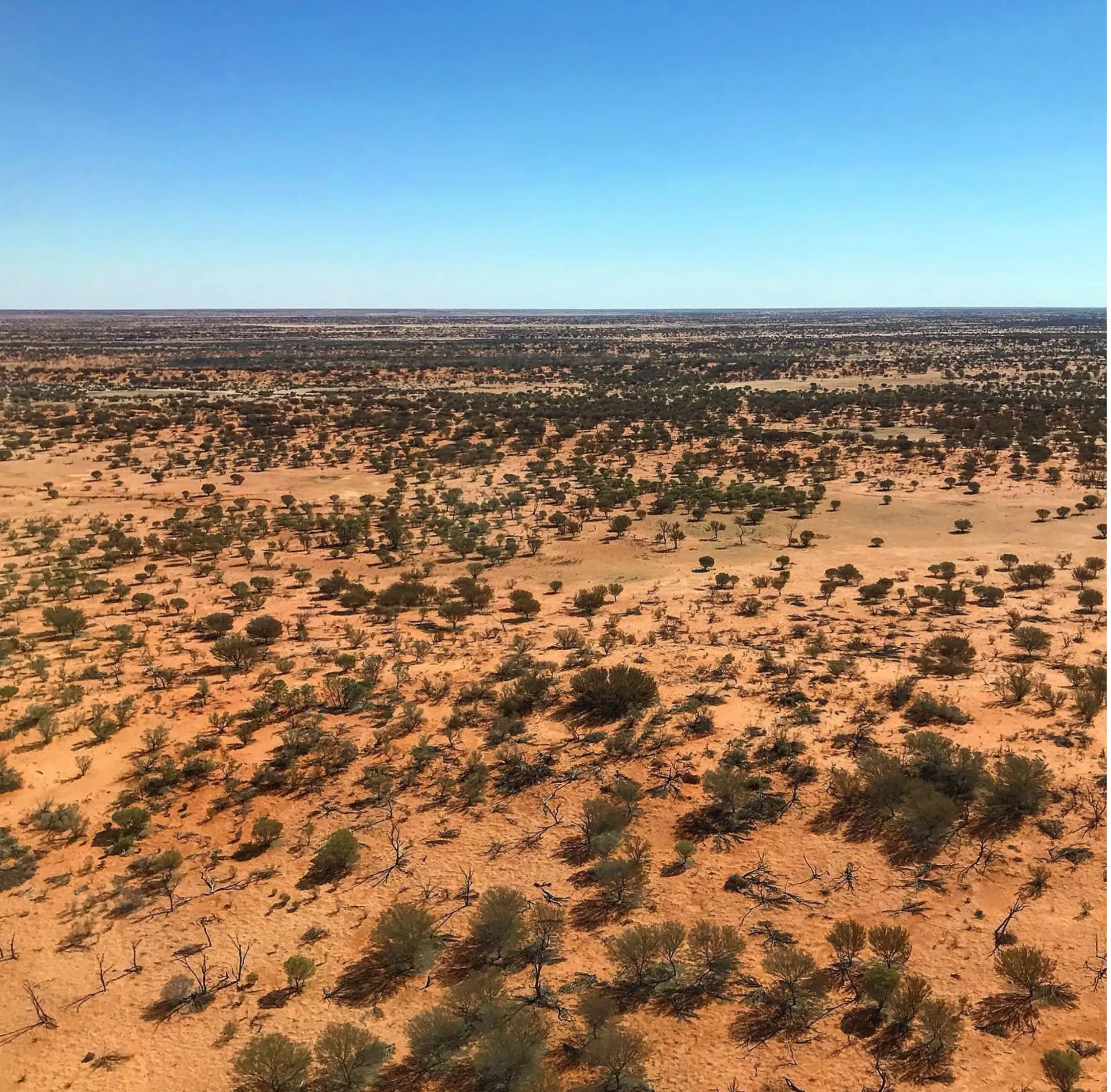 Uluru Desert Wildlife Park - See native wildlife and learn about desert ecosystems