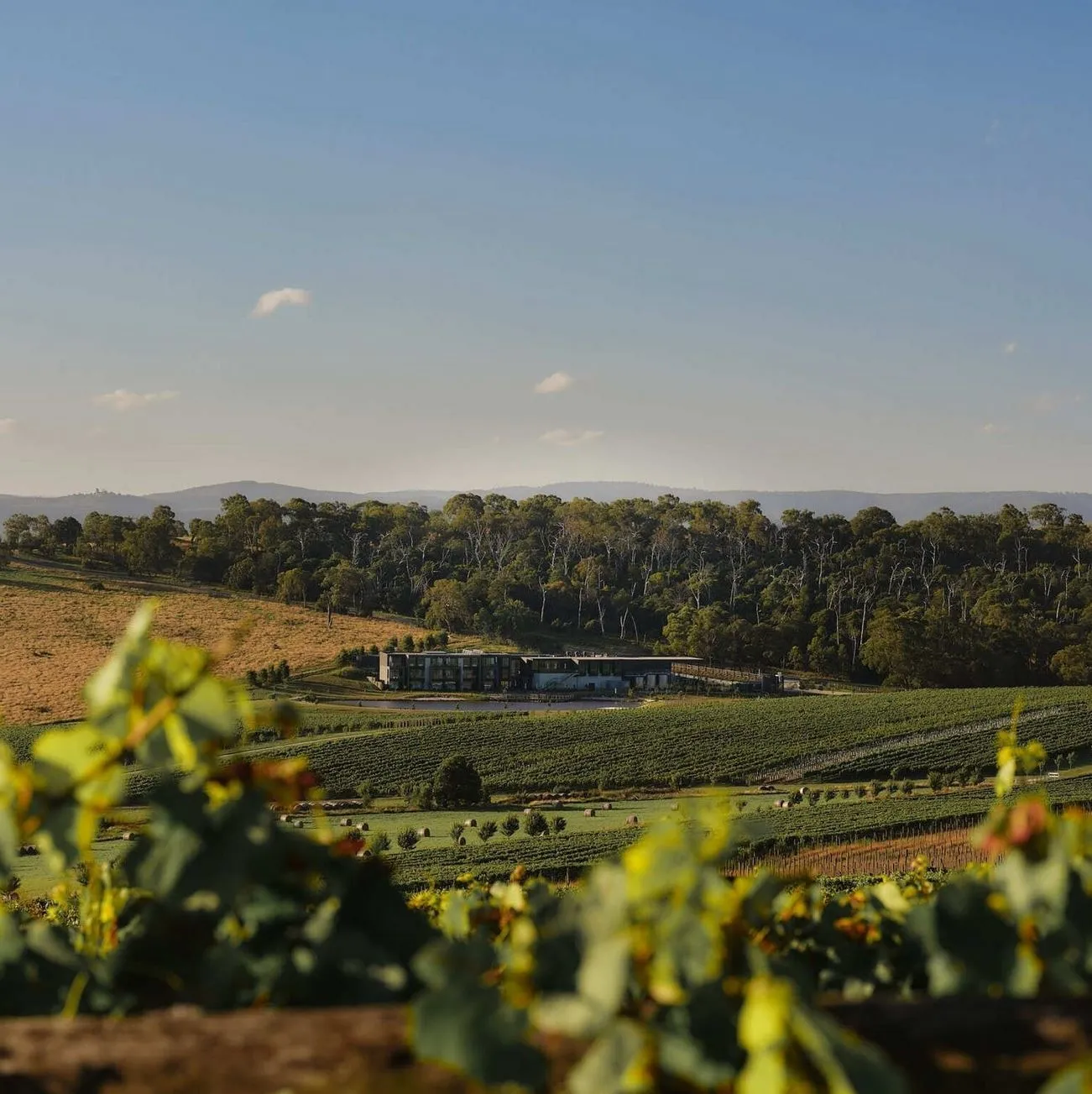 winery tours