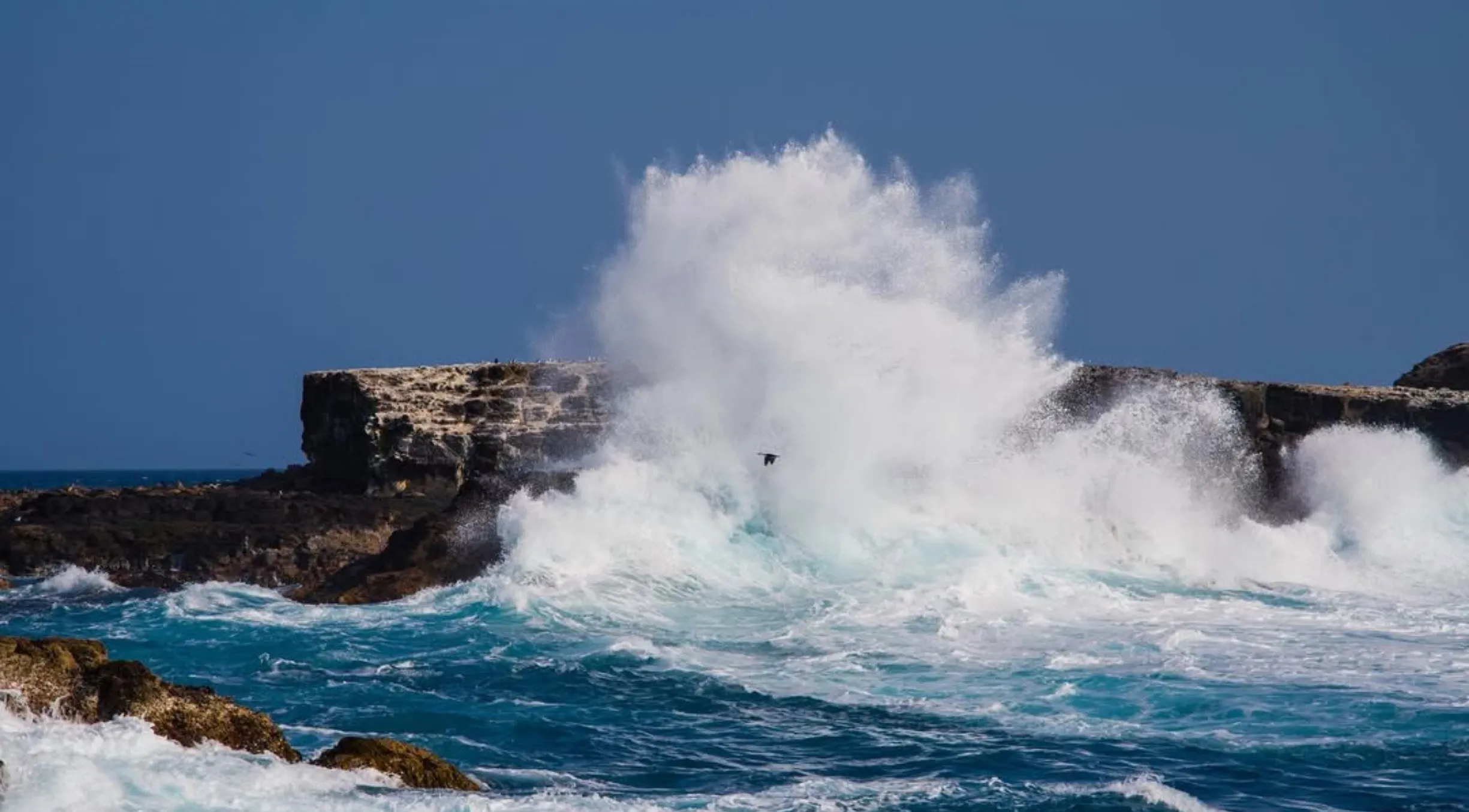 Phillip Island in Winter