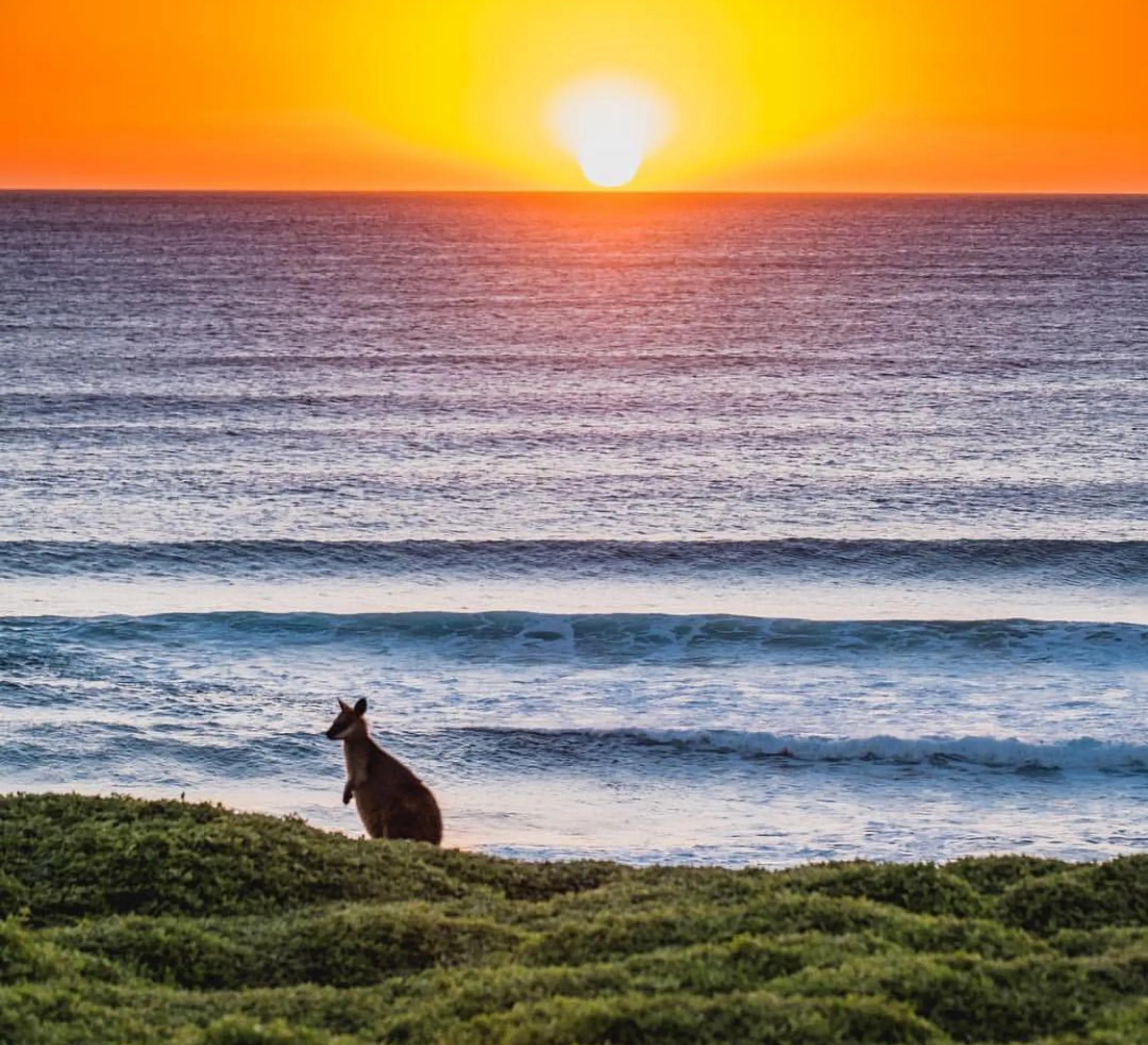 walking trails, Phillip Island
